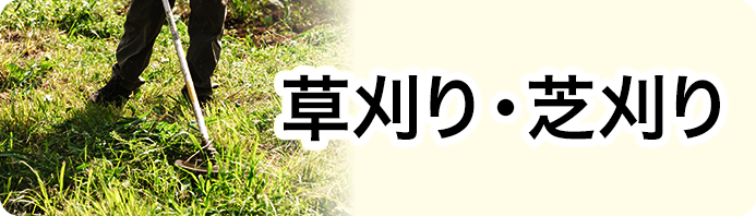 伐採料金