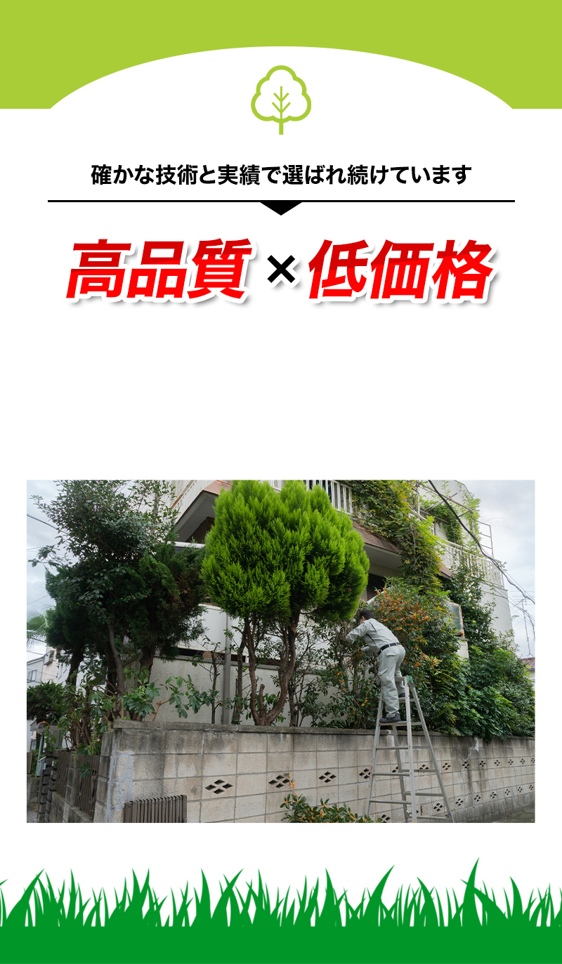 高品質×低価格