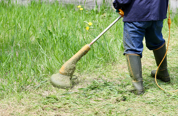 庭木の剪定の作業写真