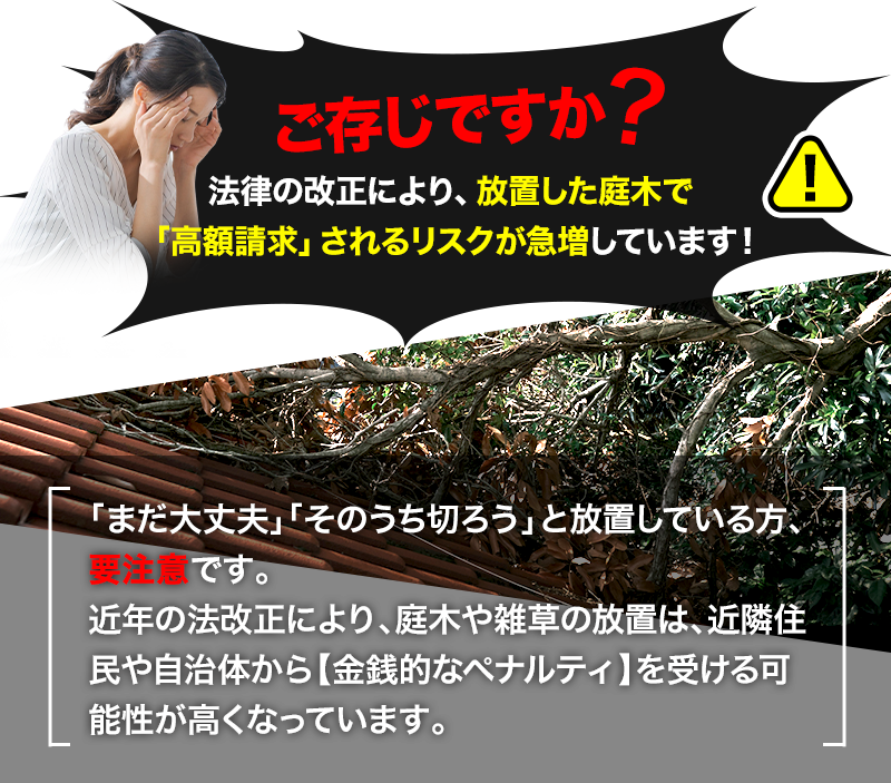 放置した庭木で高額請求されるリスクが急増しています！