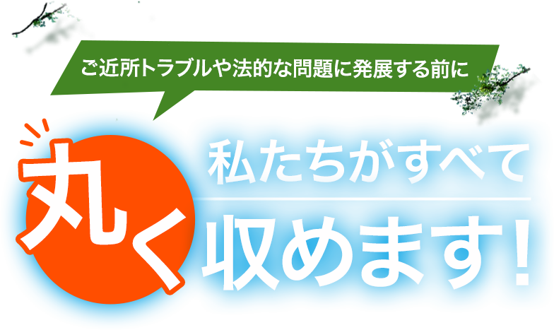 私たちがすべて丸く収めます！